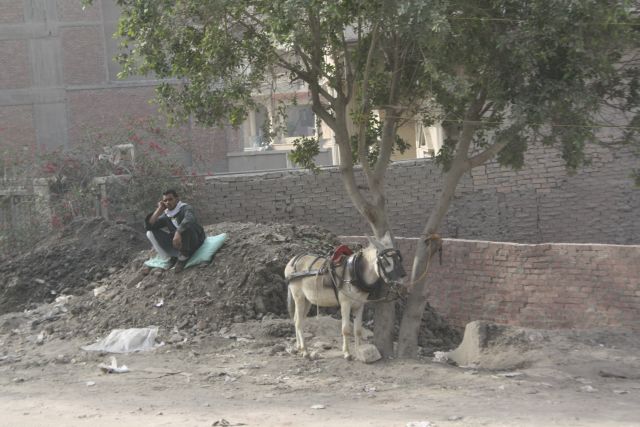 Egypte2010-577 
