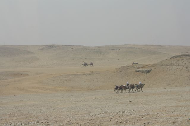 Egypte2010-660 