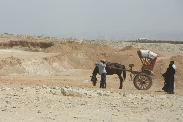 Egypte2010-675 