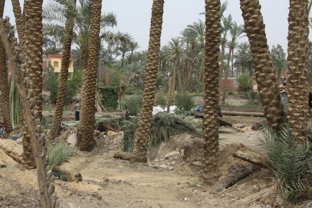 Egypte2010-784 