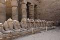 Egypte2010-067
