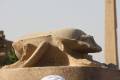 Egypte2010-086 