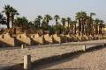 Egypte2010-098 