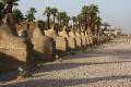 Egypte2010-099 