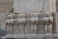 Egypte2010-103