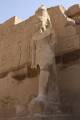 Egypte2010-833 