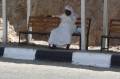 Egypte2010-354 