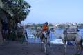 Egypte2010-468 