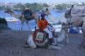 Egypte2010-470 