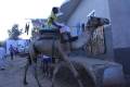 Egypte2010-495