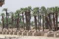 Egypte2010-554 