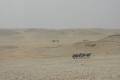 Egypte2010-660