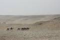 Egypte2010-662