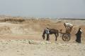 Egypte2010-675